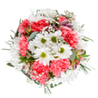 This beautifully balanced bouquet, evocative of early summer mornings along the Temple River Walk, presents a joyful eruption of colour: vibrant coral-pink carnations intermingle seamlessly with bright white daisies, which radiate positivity from glowing lime-green centers. Accents of airy baby's breath weave through the flowers, suggesting lightness and movement, almost as if caught in a gentle Thames breeze. Delicate hints of unopened alstroemeria buds streaked with soft purple nestle within, while the rich arrangement of deep and silvery-green foliage offers both fragrance and textural depth, grounding the brighter hues. The design feels both tranquil and exuberant, perfect for sharing joy, offering comfort, or marking a milestone-whether it's a new beginnings celebration in Temple's legal district or a heartfelt thank you delivered to a colleague on Tudor Street. Every aspect speaks to the expertise and dedication of local florists, reflecting the spirit and charm of Temple in every stem.